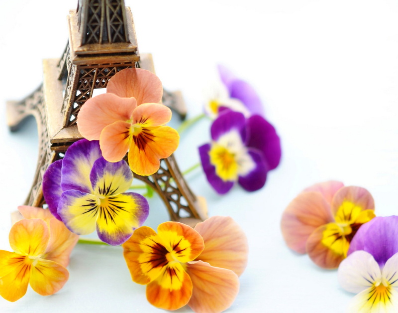 pollen, violet, indoors, no people, beauty in nature, colored, Paris, violets, tower, France, statuette, Eiffel Tower, flower, decor, purple, 2K, flowers
