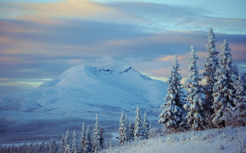 1080P, full hd 1080p nature  desktop backgrounds hd 1920x1200