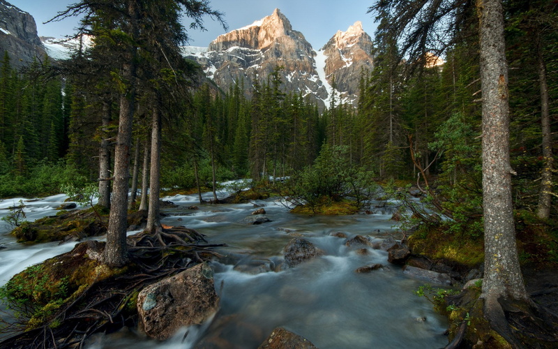 day, solid, no people, growth, flowing, full hd 1080p nature  desktop backgrounds hd 1920x1200, rock - object, tranquil scene, rock, tranquility, flowing water