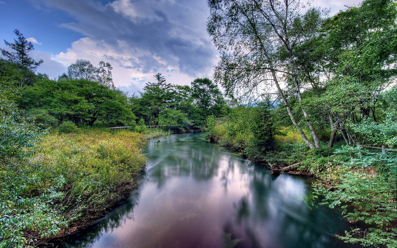 tranquil scene, green color, beauty in nature, sky, day, 1080P, non-urban scene, water, flowing water, full hd 1080p nature  desktop backgrounds hd 1920x1200