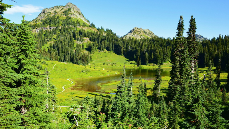 8K, sky, plant, water, land, scenics - nature, outdoors, landscape, pine tree, coniferous tree, no people, green color, pine woodland, tree, mountain