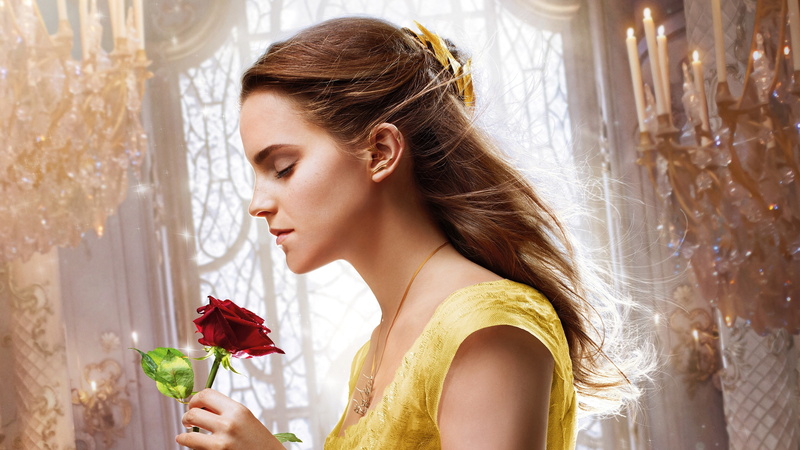 rose - flower, red, women, young women, 4K, beautiful woman, hairstyle, contemplation, hair, holding, beauty in nature, beauty, positive emotion, flower