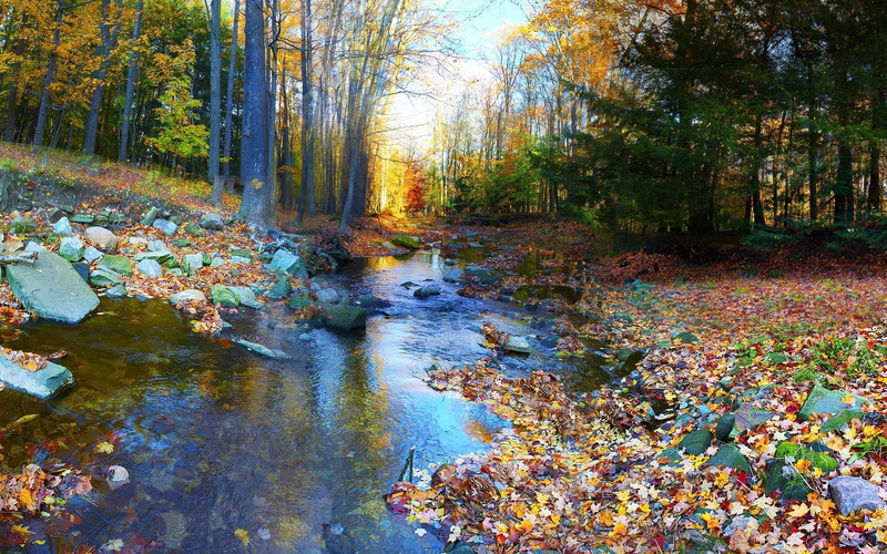 day, stream - flowing water, change, tranquility, flowing, high definition nature sceneries pictures 1920x1200, fall, tranquil scene, 1080P, scenics - nature