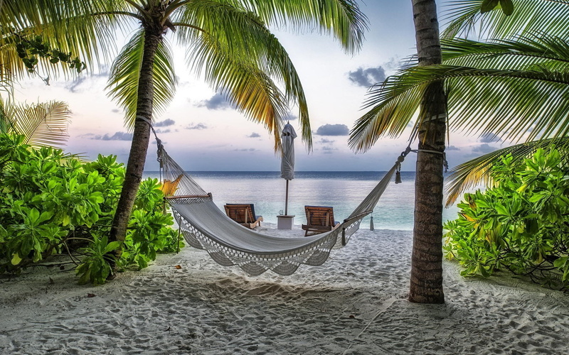 tranquility, outdoors, tropical tree, horizon over water, sea, palm tree, sky, water, beauty in nature, land, tropical climate, 1080P, plant, growth, tree