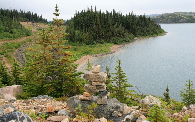 rock - object, pine tree, rock, coniferous tree, flowing water, tranquil scene, tranquility, idyllic, nature, no people, growth, high angle view, high res  nature download 1920x1200