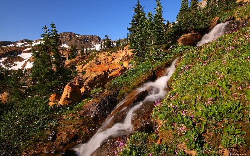 high res  nature download 1920x1200, 1080P