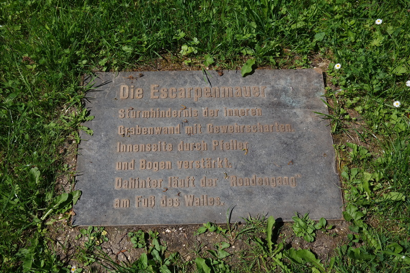 outdoors, capital letter, text, day, communication, plant, no people, green color, 5K, Information, growth, message, park, Font, grave, glacis, tourism