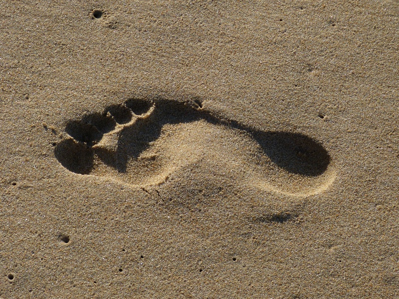 brown, sand beach, pattern, vacations, shadow, nature, no people, ten, wet, textured, land, track - imprint, trace, day, high angle view, sand, footprints in the sand