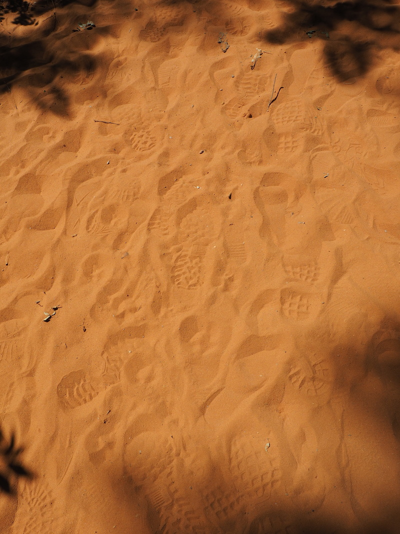 traces, high angle view, 4K, sand, day, yellow, land, sand road, vertebrate, bird, animal, desert, sole imprint, shoe sole imprint, no people, sunlight