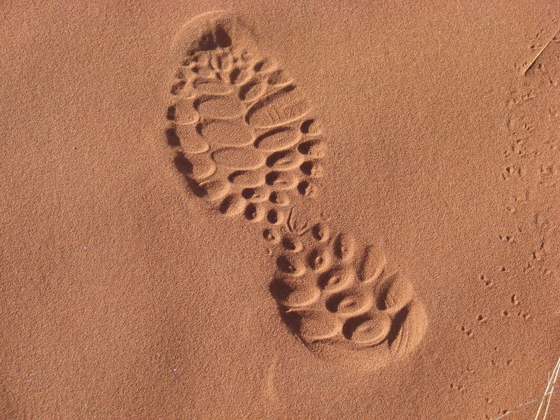 high angle view, arid climate, desert, footprint, backgrounds, pattern, track - imprint, shoes, land, day, namibia, nature, sole, no people, textured, full frame