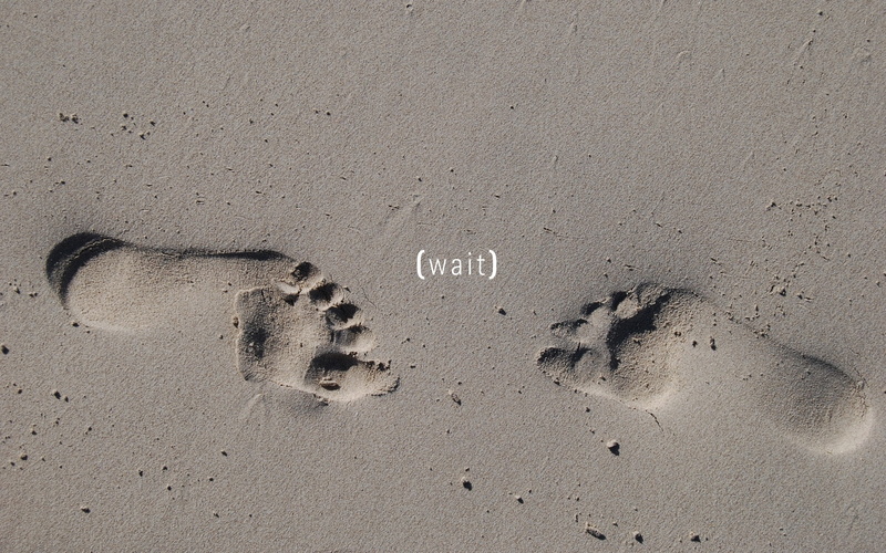 wait, nature, text, close-up, concepts, land, gray, barefoot, high angle view, animal track, footprint, western script, sea, beach, traces, art and craft