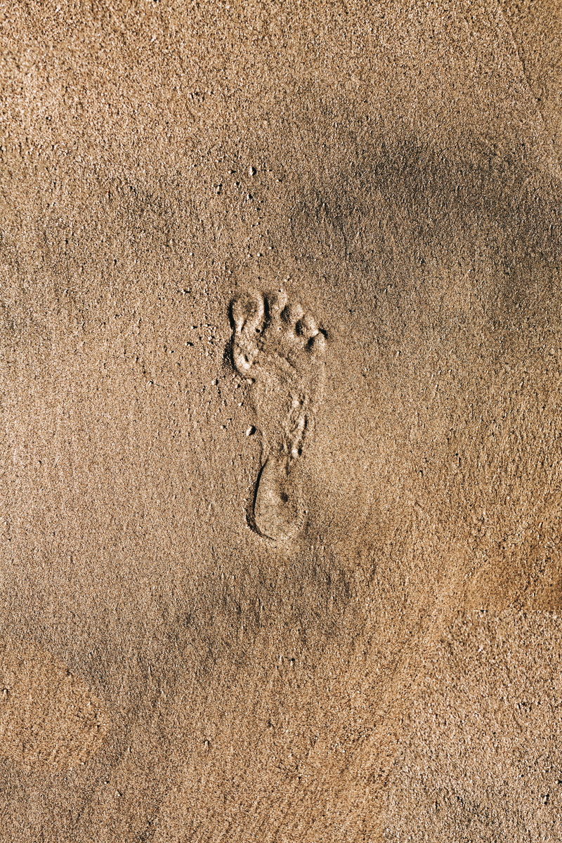 track - imprint, animal themes, grains, land, animal, sand, 5K, backgrounds, no people, brown, print, foot, beach, outdoors, paw print, nature, high angle view