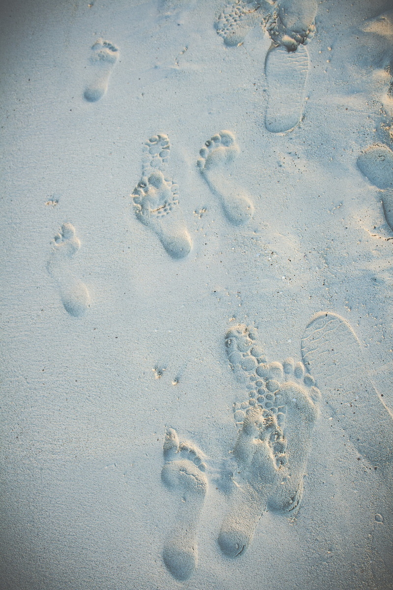 pattern, no people, footprints, wet, print, photo, track - imprint, sand, animal themes, mystery, animal track, nature, Healthy Lifestyle, beach, paw print