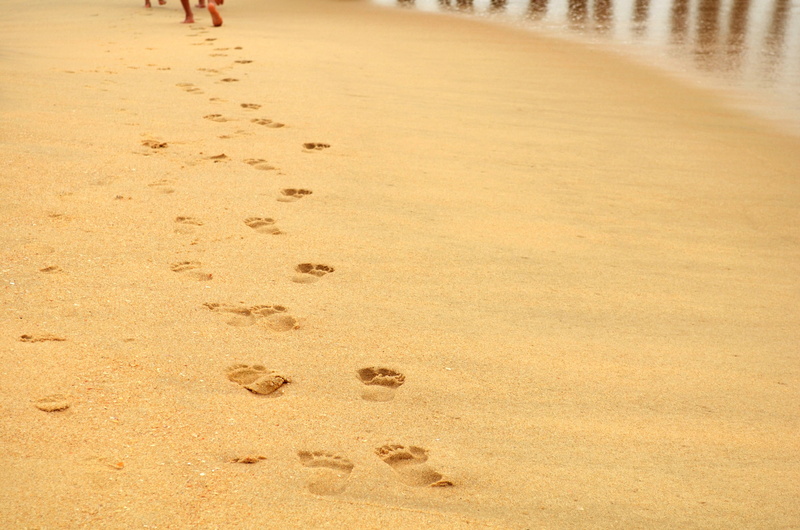 footprint, leisure, concepts, land, mystery, paw print, track - imprint, sand, beach, day, water, footprints, ideas, outdoors, animal track, human foot