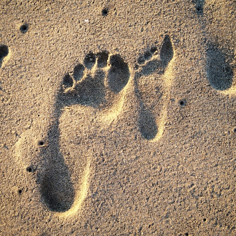 textured, footprints, representation, paw print, sunlight, high angle view, day, pattern, nature, beach, brown, 1080P, footprint, print, creativity, no people