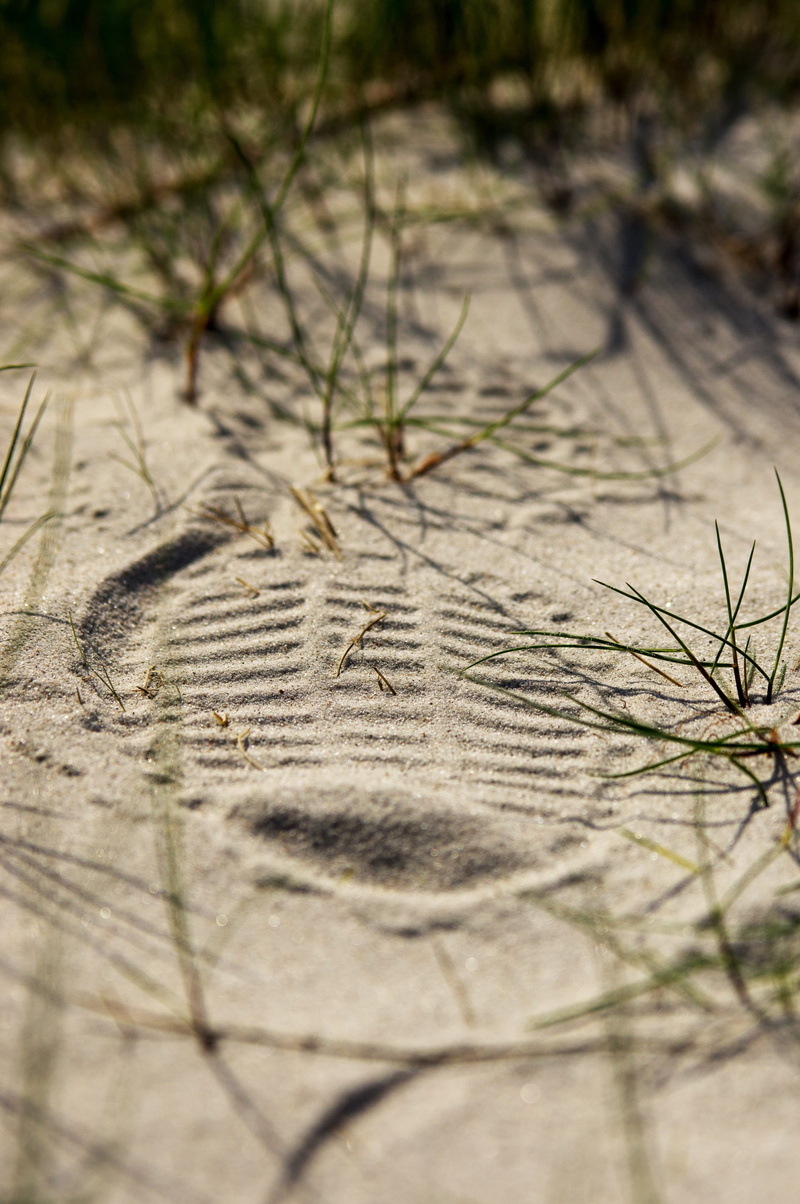 close-up, fine grain, sand road, field, shoe print, no people, grass, text, sole imprint, reprint, land, 4K, communication, nature, outdoors, scribble