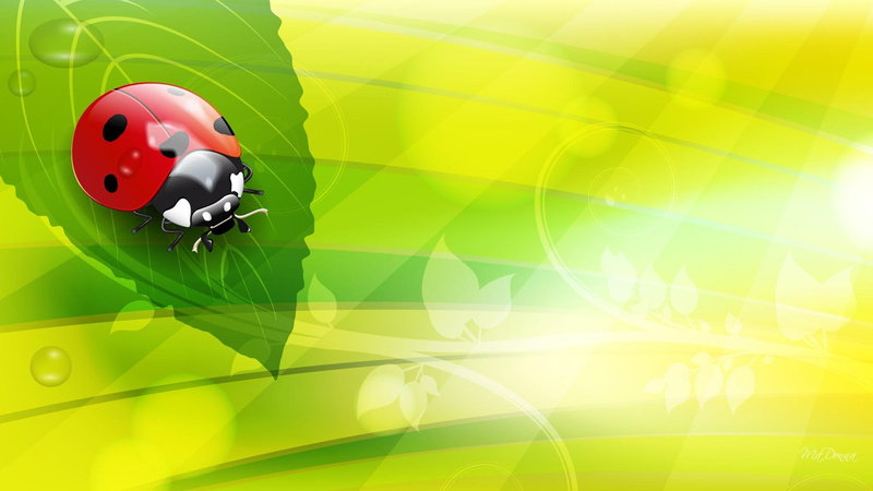 lady bug, bright, ladybug, insect, light, 1080P, spring, abstract, shine, sweet, yellow, summe, green, leaf
