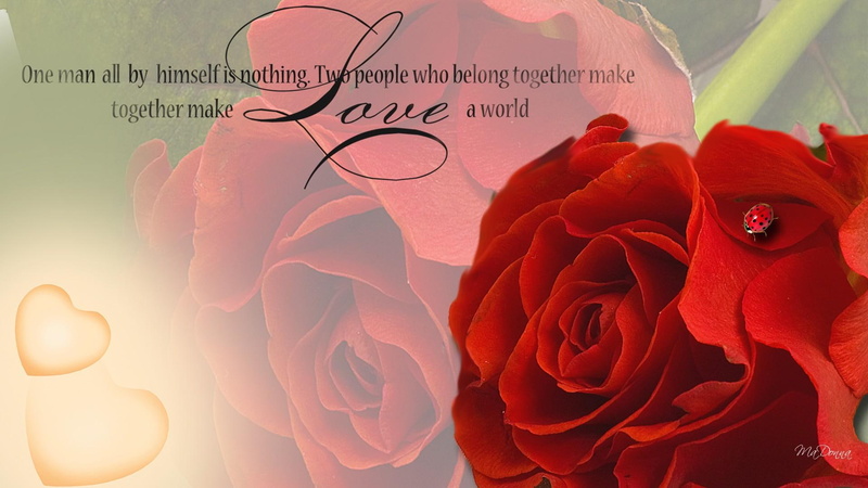 red rose, spring, love, lady bug, poem, ladybug, fleur, rose, romance, valentines day, 1080P, poetry, flower