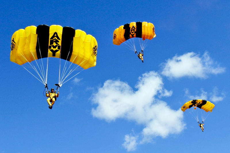 air vehicle, us army, parasailing, wind, paragliding, sky, outdoors, freedom, joy, unrecognizable person, team, flying, teamwork, parachute, golden knights