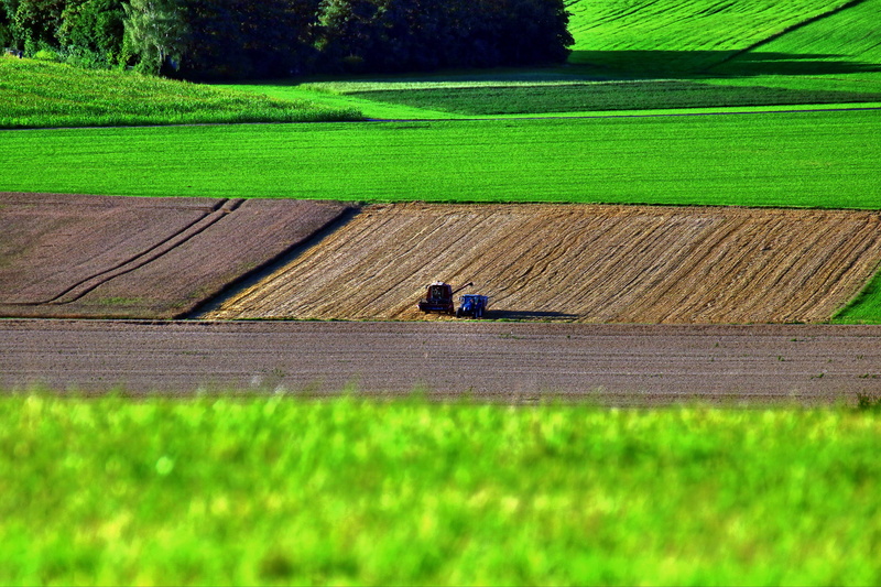 farmer, outdoors, meadow, arable, agriculture, cultivation, landscape, farm, land, nature, plant, beauty in nature, plantation, hdr, growth, green color