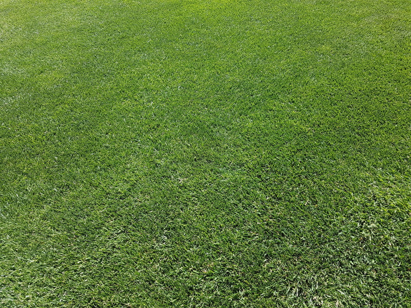 environment, backgrounds, rush, lawn care, nature, lawn maintained, full frame, english lawn, green color, land, 4K, powerful, lush green, maintained