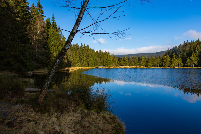 colorful, familiar, scenics - nature, forest, woodland, tree, badesee, nature, outdoors, beautiful, boats, golden, Holiday, Water, green Color, panorama