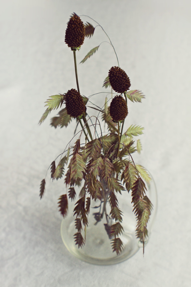 dried, flowering plant, indoors, inflorescence, centerpiece, growth, no people, sunflower, plant part, nature, seagrass, close-up, wall - building feature