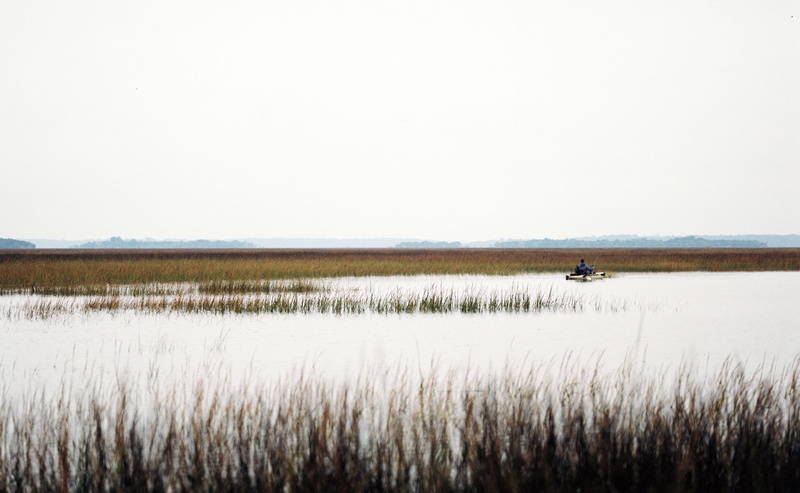 seagrass, field, heckscher drive, water, day, tranquil scene, landscape, grass, sportsman, clear sky, kayak, nature, lonely, coastal, waterway, fisherman