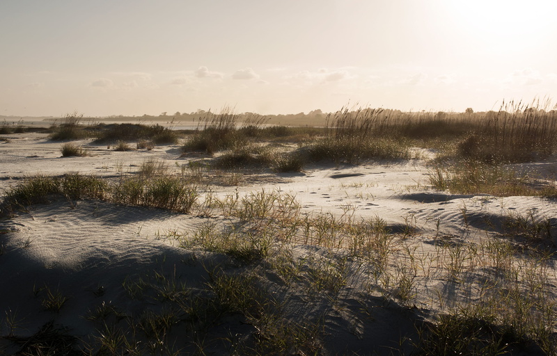 scenics - nature, grass, 2K, remote, growth, nature, beach, tranquil scene, land, haze, ocean, shoreline, united states, outdoors, sand, coastal, coast