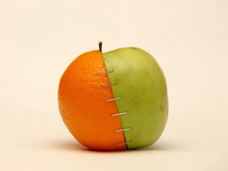 indoors, selection, fruit, single object, white background, food, cut out, freshness, studio shot, no people, juicy, healthy eating, fruits, food and drink