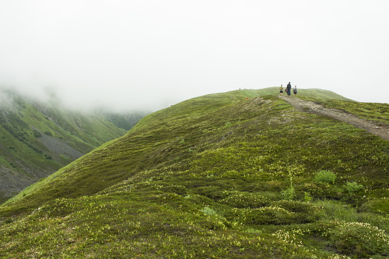 tranquil scene, fog, non-urban scene, tranquility, standing, mountain peak, surrounded, rural, nature, scenics - nature, rural scene, mountain, plant, Lost Lake
