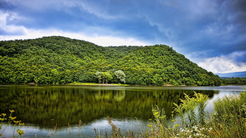 landscape, plot, knoll, scenics - nature, cloud - sky, growth, rainforest, land, forest, season, agriculture, 1080P, trees, summer, mountains, grass, green color