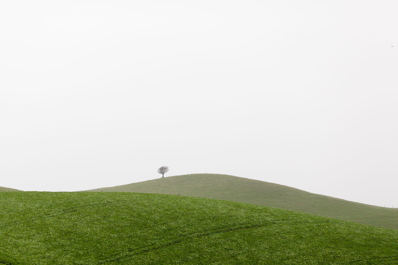 beauty in nature, scenics, leafed, non-urban scene, green Color, leisure activity, nature, adult, landscape, tranquility, summer, tree, meadow, copy space