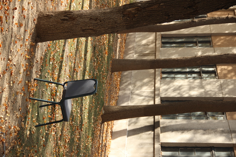 abandoned, nature, day, chair, window, building, built structure, glass - material, close-up, tree, shadow, 5K, blck, wall - building feature, metal, building exterior
