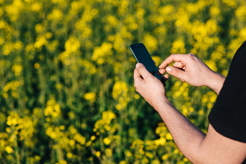 rapeseed, smartphone, mobile Phone, outdoors, laptop, portable information device, connection, field, land, flowering plant, spring, tech, flowers, nature