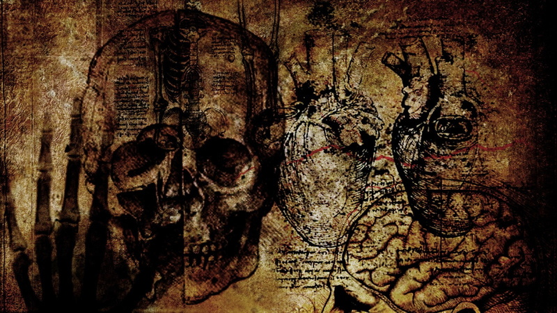 human representation, carving - craft product, close-up, trunk, skull, textured, history, pattern, old, craft, the past, tree, backgrounds, wood - material