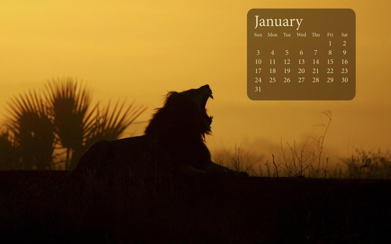 new year, january, lion, 2010, 1080P, calender, calendar, sunrise, silhouette