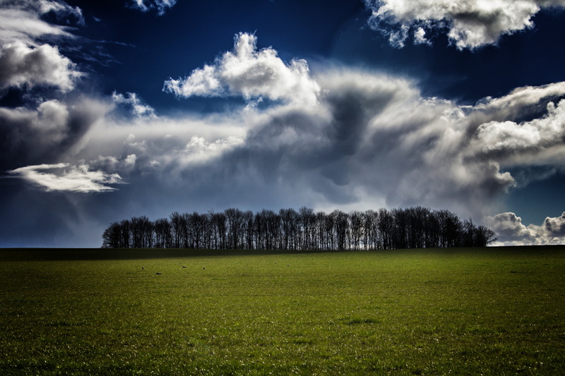 nature, storm, sky, landscape, blue, green, Rotherham, grass, white, meadow, daytime, field, outdoors, Wentworth, News, green grass, flowers  trees, cloudy