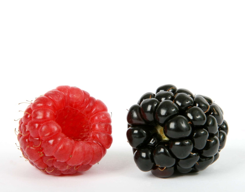 sweet food, ripe, white background, no people, closeup, temptation, food and drink, fruit, healthy eating, copy space, good, breakfast, sphere, raspberry