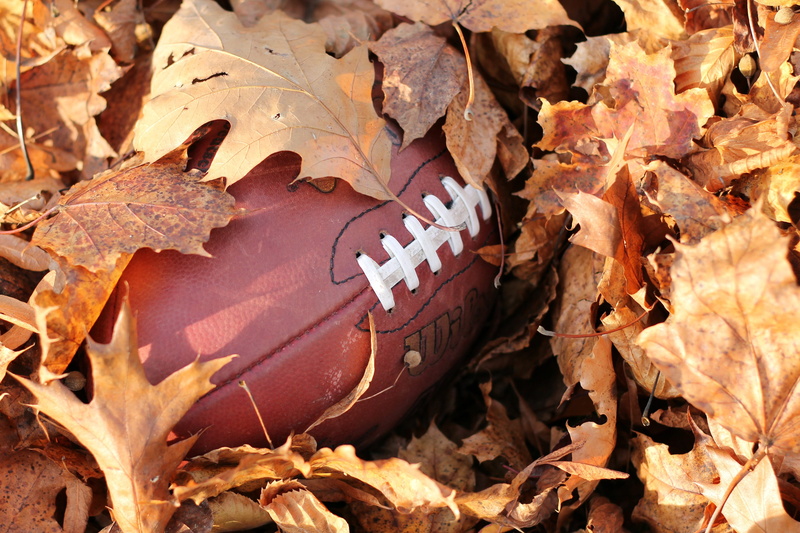 4K, falling, field, ball, nature, sunlight, autumn, no people, forget, change, leaf, dry, still life, outdoors, american, sport, high angle view, sewn