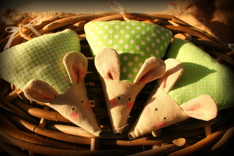 studio shot, succulent plant, creativity, dot, no people, sewn, day, multi colored, green color, indoors, basket, craft, cactus, focus on foreground, pattern