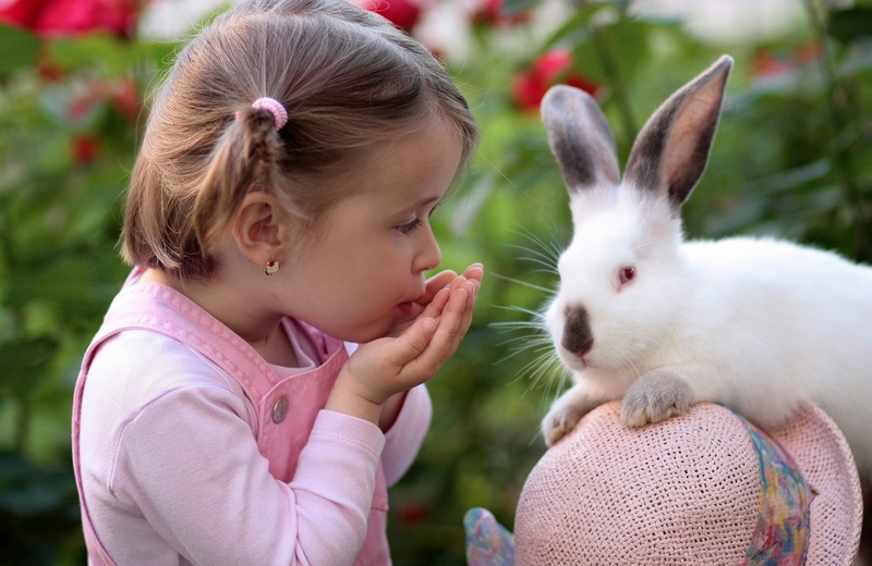 love, childhood, hair, one person, white, cute, standing, females, rabbit, hairstyle, mammal, beside, easter, children only, pink, albino, pink color, portrait