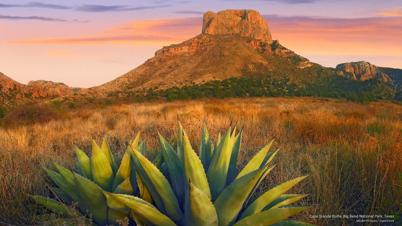 park, National Parks, big, national, 2K, texas, casa, bend, grande, butte