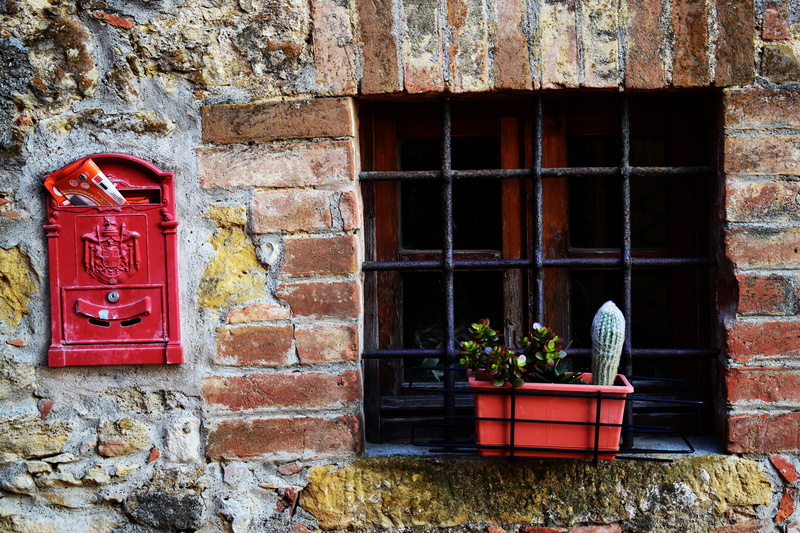 flower pot, window, 5K, plants, plastic, door, letter, wall, stone wall, growth, built structure, potted plant, day, plant, flowering plant, cottage, planter