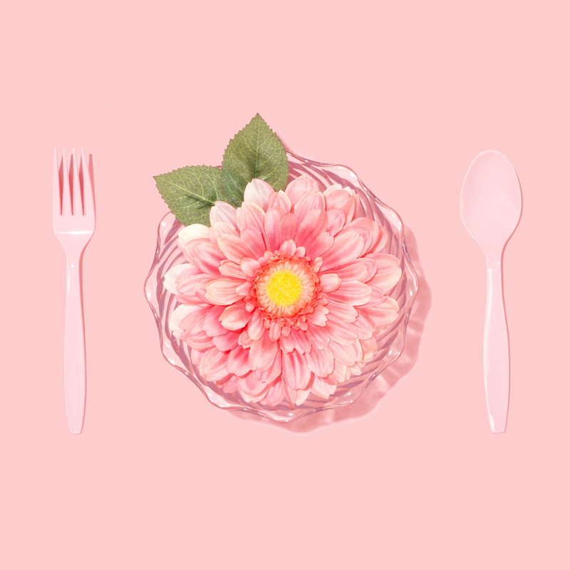 petaled, flowering plant, indoors, food, leaves, nature, artificial, blogger, studio shot, directly above, meal, petal, baker, spoon, food photographer