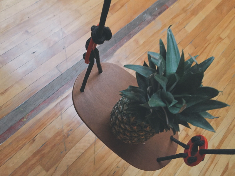 wooden, women, house, retro, 2K, interior, succulent plant, decoration, houseplant, health, interior design, plant part, potted plant, table, people, nature