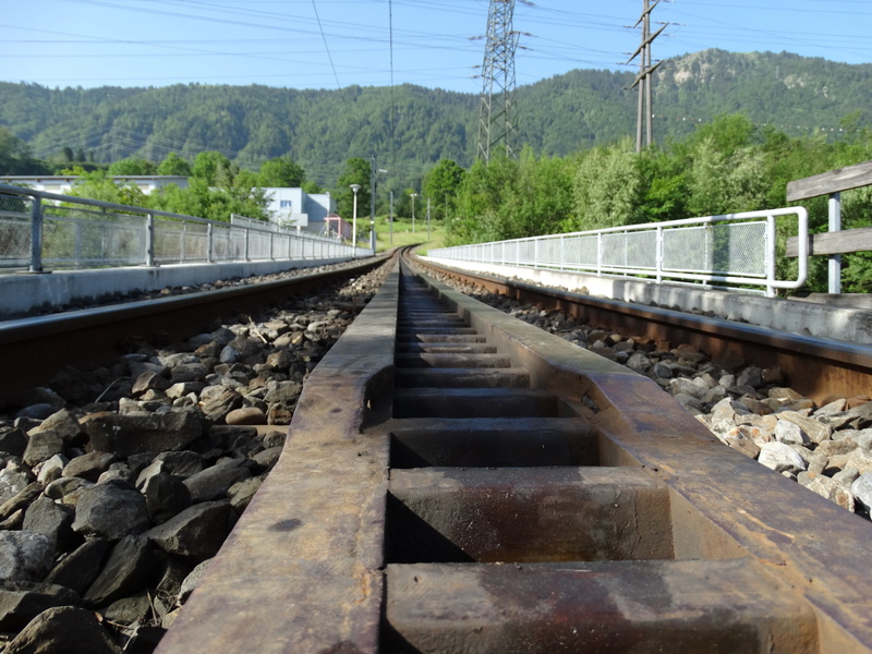 tree, railroad track, passenger transport, mode of transportation, rack railway, track, day, connection, rail transportation, diminishing perspective, plant