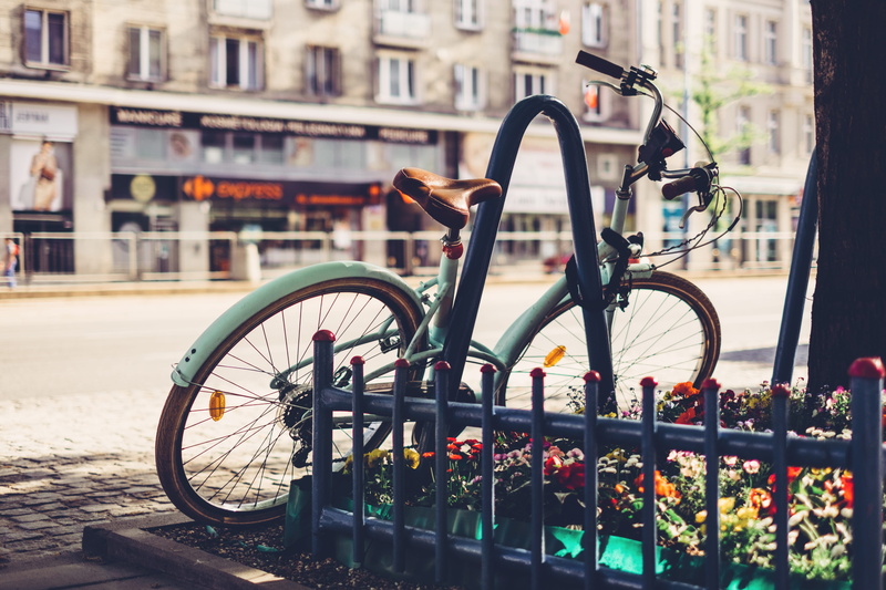 canal, flowering plant, black, focus on foreground, pavement, daylight, land vehicle, roll along, cyclist, stock, bike, transportation, stationary, day