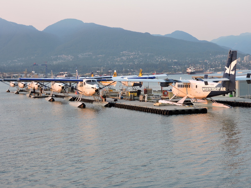 happy, building exterior, transportation, sea, travel, city, passenger, business, transport, tourist, bay, airline, 4K, outdoors, plane, water, day, international