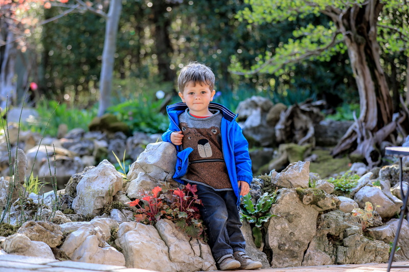 outdoors, portrait, plant, nature, casual clothing, stones, child, looking at camera, front view, one person, rock, full length, person, child photo, childhood